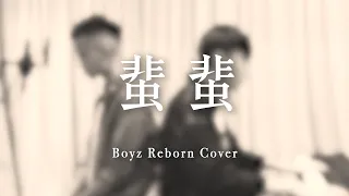 蜚蜚 (男聲版）- Boyz Reborn Cover