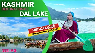 മലമുകളിൽ ഒരു തടാകം | Dal Lake in Kashmir| Club Mahindra House Boat stay in Srinagar | Safnas Records