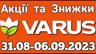 Акції VARUS з 31.08 по 06.09.2023 року #varus #анонсатб #знижкиатб #цінинапродукти #оглядцін