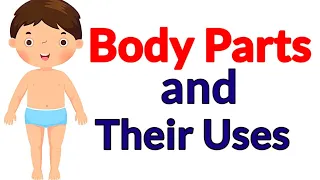 Body parts name | Body parts for kids | Parts of body | Body parts and their uses | #bodyparts #evs