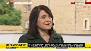 Brexit vote attempt - Bronwen Maddox, Sky News
