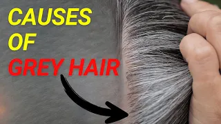 The REAL Causes Of Grey Hair