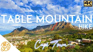 Table Mountain Cape Town Hike South Africa Tour 4k