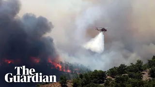Greece: wildfires rage on three islands and mainland