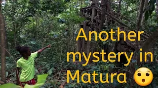 Rediscovered Three(3) old house in Matura(Trinidad)/History Friday's-Ep 69