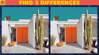 【Find the Difference】 Brain Game Puzzle - Part 218