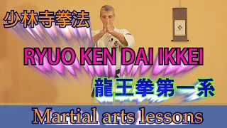 Shorinji Kempo Basic Kata RYUOKEN DAI IKKEI. How to learn Martial Arts at home.龍王 拳 第一 系 少林寺拳法 の基本