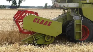 Żniwa i prasowanie 2019  2x URSUS     CLAAS MERCATOR 60