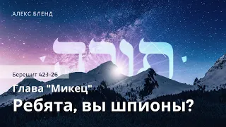 04. Недельная глава Микец. Ребята, вы шпионы? Берешит 42:1-26