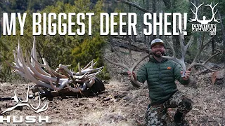 FINDING GIANT DEER SHEDS IN ELK COUNTRY | SHEDTOUR S5EP4