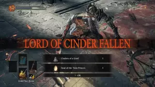 Lorian, Elder Prince and Lothric, Younger Prince GLITCH