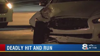 St. Pete police investigate deadly hit-and-run crash