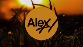 Alex H - Timeless (Original Mix) *Free Download*