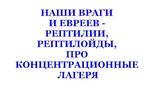 НАШИ ВРАГИ И ЕВРЕЕВ - РЕПТИЛИИ, РЕПТИЛОЙДЫ, ПРО КОНЦЕНТРАЦИОННЫЕ ЛАГЕРЯ. Трехлебов 09.04.2010 г 2023