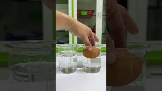 What will happen to the egg? #scienceexperiment #science #experiment #eggexperiment