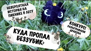 Приручи всех драконов//Конкурс!Розыгрыш дракона//Потеряли Беззубика