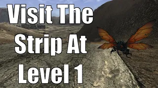 How To Get To The Strip At Level 1 In Fallout: New Vegas