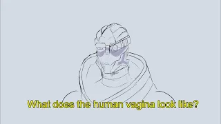 Garrus Has Questions - Mass Effect Animatic