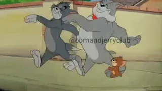 Tom and Jerry - The Truce Hurts #6