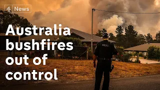 Australian bushfires continue to rage as death toll rises