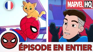 Marvel Super Hero Adventures | Spidey évite une fantastique chat-astrophe ! | Marvel HQ France