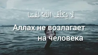 сура#ат - талак(развод) ,7 аят