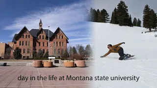 Montana state university day in the life