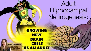 Adult Hippocampal Neurogenesis:  Growing New Brain Cells as an Adult