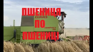 Експеремент пшениця по пшениці. Claas Compact 30.