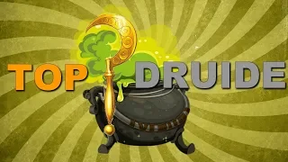 TOP DRUIDE - FAIRE LA POTION MAGIQUE DE PANORAMIX