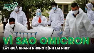 Vì Sao Omicron Lây Quá Nhanh Nhưng Bệnh Lại Nhẹ? | SKĐS