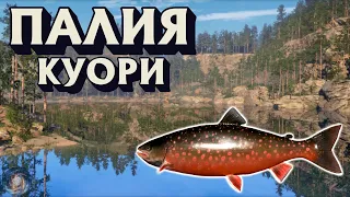 Палия | оз. Куори | Русская Рыбалка 4