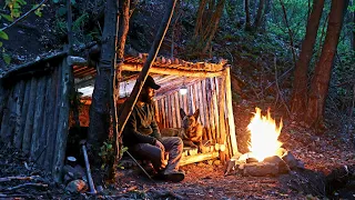 Bushcraft Shelter Camping with my Dog - Wilderness Survival, Forest Film, Camp Cooking, Asmr, Diy