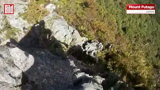 Horror am Berg. Plötzlich kommt da von oben ein Bär angedüst! (Japan).