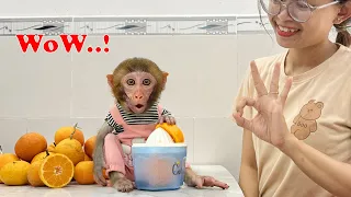 Cute Monkey LuLu gets his mother to make his favorite orange juice