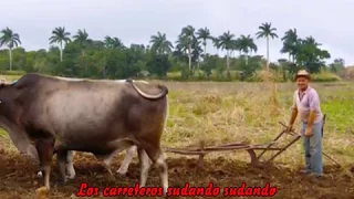 LAMENTO DEL CARRETERO con letra FEDERICO Y SU COMBO & CANELITA MEDINA