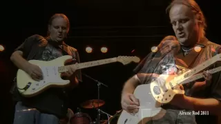 Walter Trout - Going Down (2012)