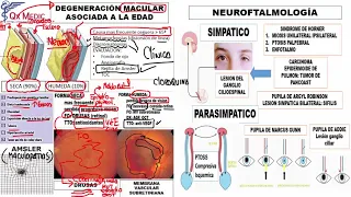 8  DEGENERACIÓN MACULAR ASOC  A LA EDAD Y NEUROFTALMOLOGíA