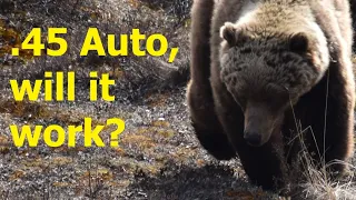 45 Auto for Bear Defense