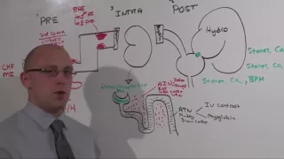 Intern Content  Renal Failure  The Medical Education