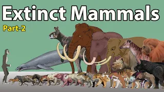 Massive Extinct Mammals Size Comparison 2024 |  Extinct Mammals Size Comparison 2024 (part-2)