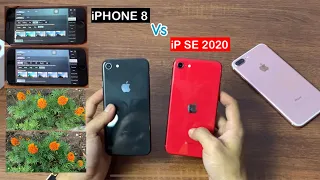 iPhone 8 VS iphone SE 2020 🤔 Hasil Camera dan test Game