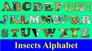 Insect Alphabet with Alphabetimals / ABC insects / A-Z Insect flashcards / a-z Bugs alphabet book