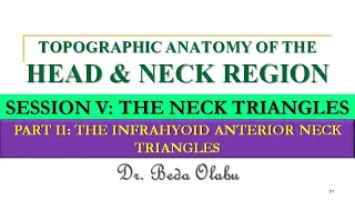 INFRAHYOID ANTERIOR NECK TRIANGLES - MUSCULAR TRIANGLE, CAROTID TRIANGLE & INFRAHYOID NECK SPACES