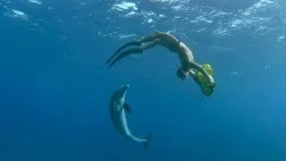 Swim with Dolphins as a Career - inspired by Academy Award® nominated IMAX Film