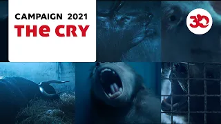 The Cry