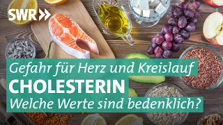 Cholesterin senken: Worauf sollte man bei der Ernährung achten? | Doc Fischer SWR