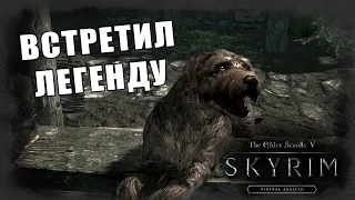 The Elder Scrolls V: Skyrim [VR] #7 *ВСТРЕТИЛИ ЗВЕЗДУ* (Стрим от 27.05.2023)