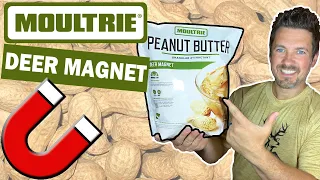 Moultrie Deer Magnet 🧲🦌 Peanut Butter 🥜 Granular Attractant Test and Review