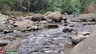 flowing river water is relaxing for sleep || insomnia relaxation || clear river water in my village